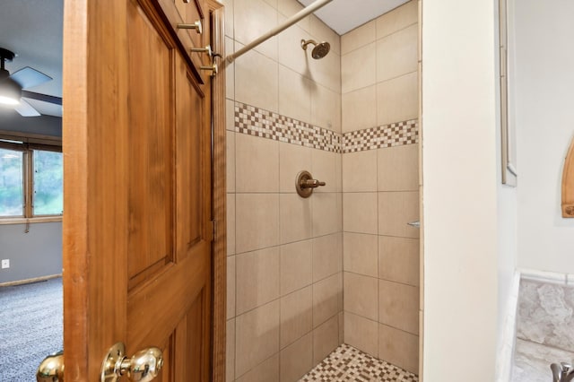 342 Soo Line Rd, Troy Twp, WI 54016 - bathroom featuring tiled shower