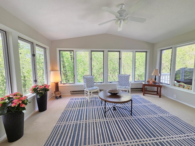 12209 Woodbine Rd, Minnetonka, MN 55305 - photo 19