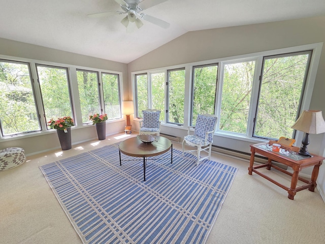 12209 Woodbine Rd, Minnetonka, MN 55305 - photo 22
