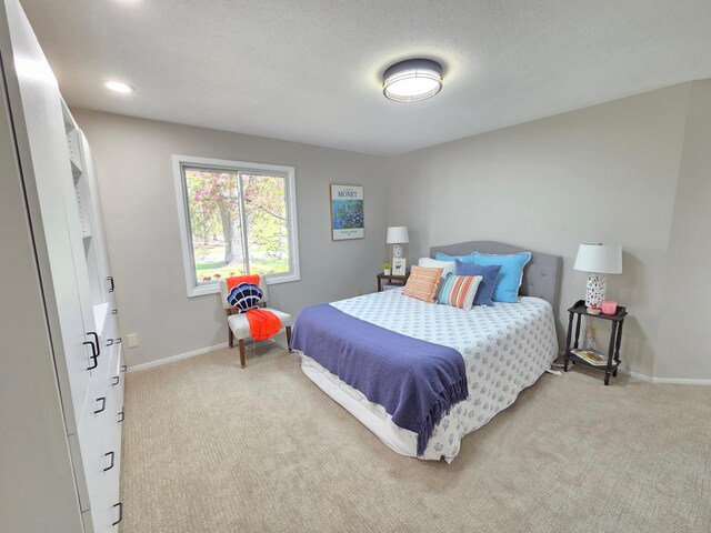 12209 Woodbine Rd, Minnetonka, MN 55305 - photo 25
