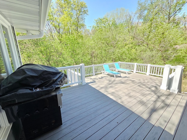 12209 Woodbine Rd, Minnetonka, MN 55305 - photo 60