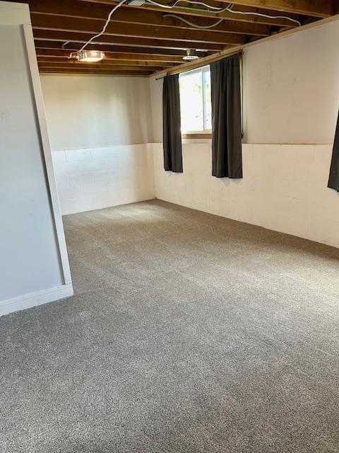 basement with concrete block wall and carpet