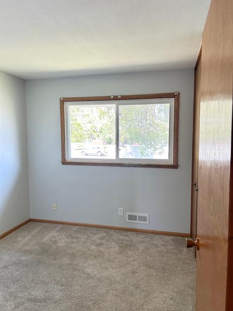 7731 80th St S, Cottage Grove, MN 55016 - carpeted empty room with baseboards