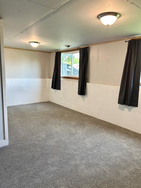 7731 80th St S, Cottage Grove, MN 55016 - carpeted spare room featuring concrete block wall