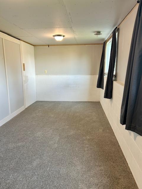 7731 80th St S, Cottage Grove, MN 55016 - view of carpeted spare room