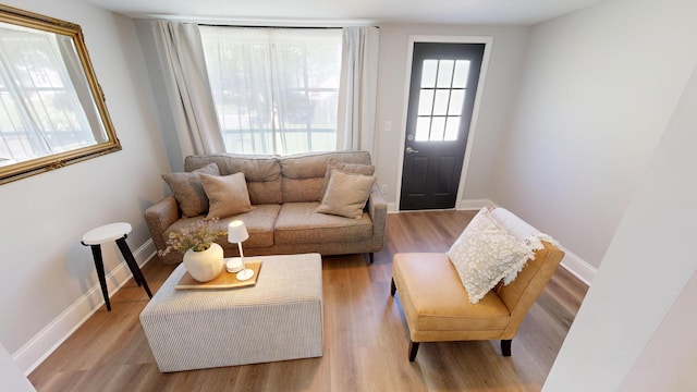 711 3rd St SE, Willmar, MN 56201 - living room featuring wood finished floors and baseboards
