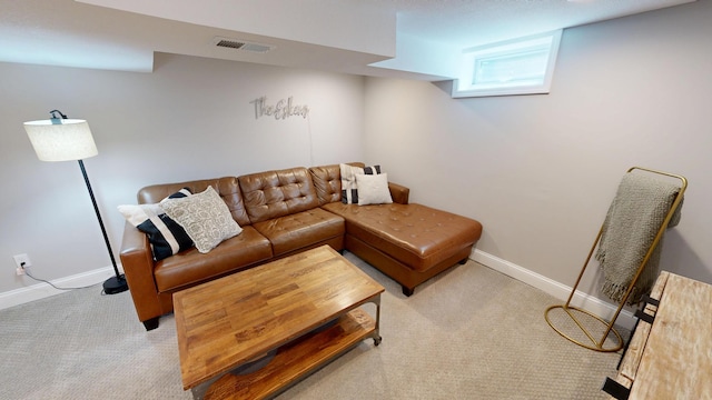 711 3rd St SE, Willmar, MN 56201 - living room with carpet floors and baseboards