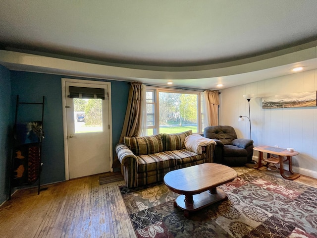 living room with hardwood / wood-style flooring
