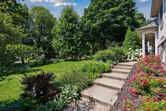 18120 Hummingbird Rd, Deephaven, MN 55391 - view of green lawn