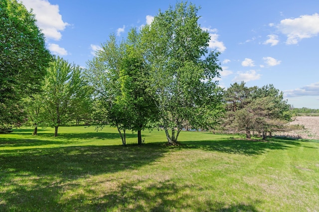 5230 Rebecca Park Trl, Greenfield, MN 55357 - view of grassy yard