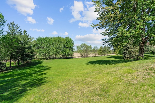 5230 Rebecca Park Trl, Greenfield, MN 55357 - view of grassy yard