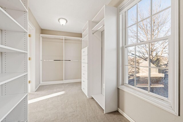 5230 Rebecca Park Trl, Greenfield, MN 55357 - spacious closet with light colored carpet