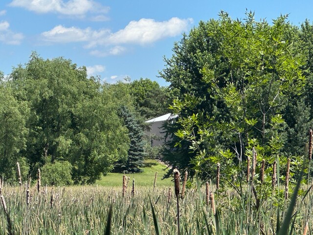 5230 Rebecca Park Trl, Greenfield, MN 55357 - photo 57