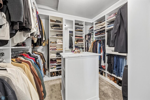 walk in closet featuring carpet floors