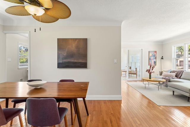 343 41st St, Minneapolis, MN 55409 - dining space with light wood finished floors, a ceiling fan, baseboards, and a textured ceiling