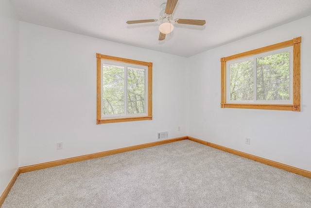 2000 191st Ave NW, Oak Grove, MN 55011 - spare room with healthy amount of natural light, carpet, and baseboards
