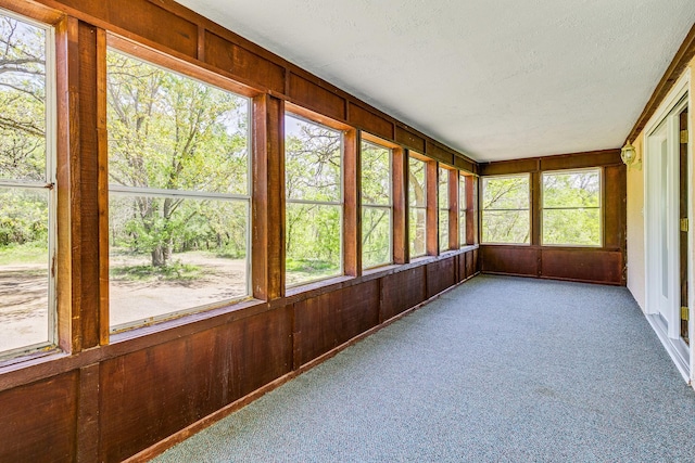 2000 191st Ave NW, Oak Grove, MN 55011 - unfurnished sunroom featuring carpet flooring, a textured ceiling, and wood walls