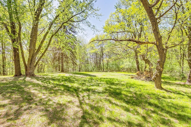 2000 191st Ave NW, Oak Grove, MN 55011 - view of green lawn with a wooded view