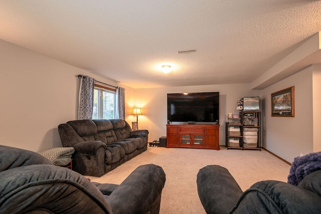 791 Highland Rd, Windom, MN 56101 - living area featuring carpet floors and a textured ceiling