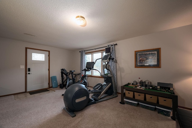 791 Highland Rd, Windom, MN 56101 - exercise area with carpet, a textured ceiling, and baseboards