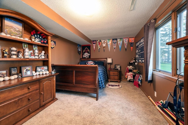 791 Highland Rd, Windom, MN 56101 - bedroom with a textured ceiling, carpet floors, and multiple windows
