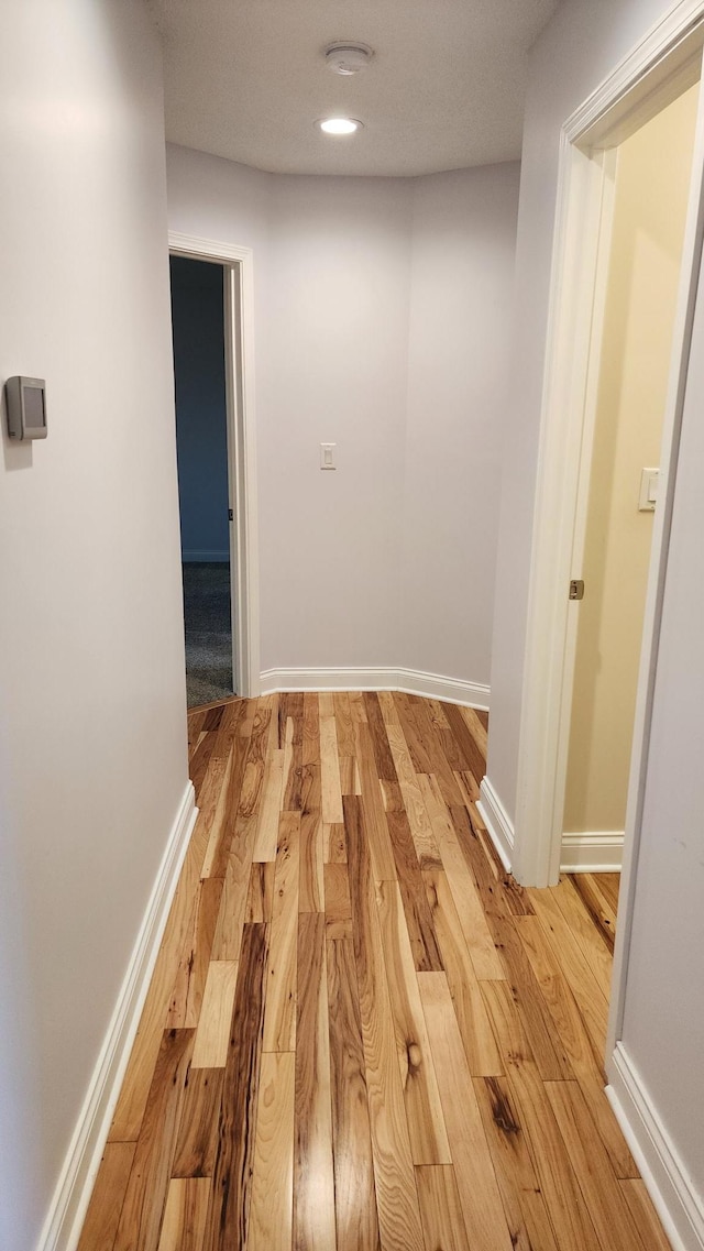 2339 2nd Ave SW, Rochester, MN 55902 - hall featuring light wood-type flooring and baseboards