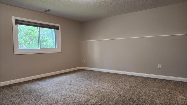 2339 2nd Ave SW, Rochester, MN 55902 - empty room with carpet, baseboards, and a textured ceiling