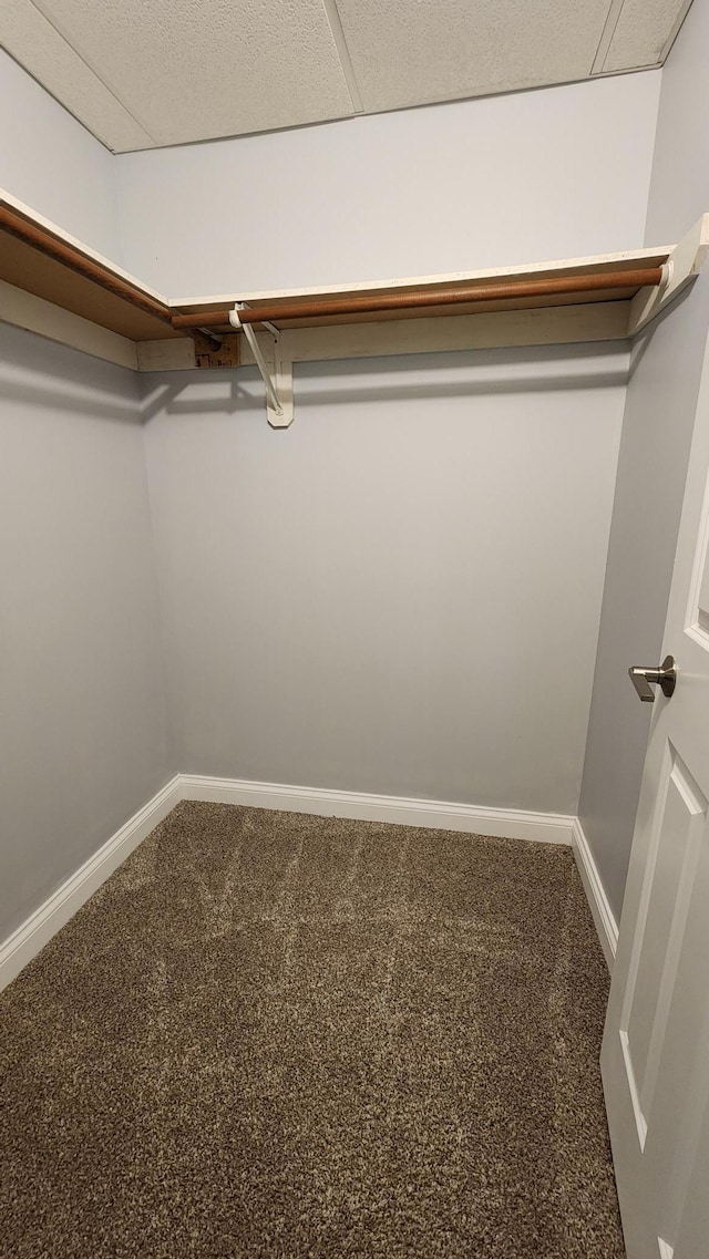 2339 2nd Ave SW, Rochester, MN 55902 - spacious closet featuring carpet flooring