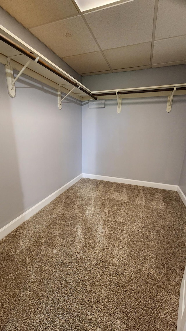 2339 2nd Ave SW, Rochester, MN 55902 - spacious closet with carpet and a drop ceiling
