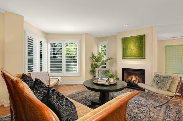28 Greenway Gables, Minneapolis, MN 55403 - living room featuring wood finished floors, a glass covered fireplace, track lighting, and recessed lighting