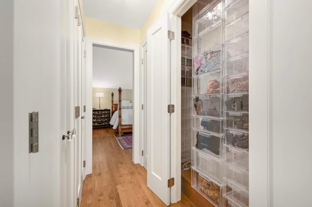 28 Greenway Gables, Minneapolis, MN 55403 - hall with light wood-type flooring