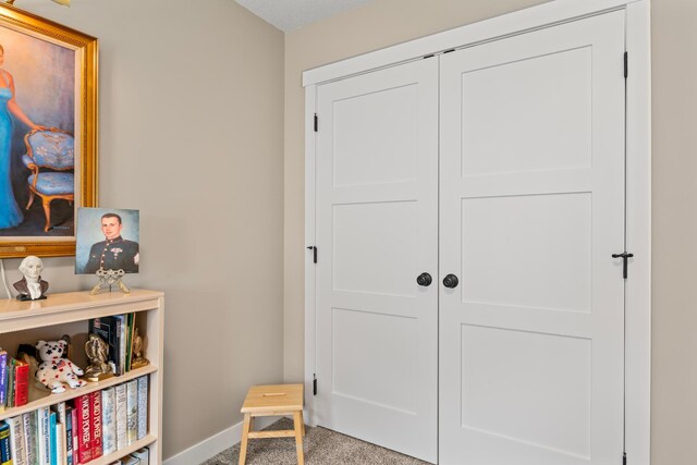 409 10th St NW, Dodge Center, MN 55927 - view of closet