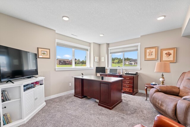 409 10th St NW, Dodge Center, MN 55927 - office featuring baseboards, light carpet, a textured ceiling, and recessed lighting