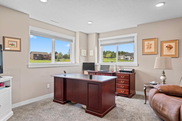409 10th St NW, Dodge Center, MN 55927 - office area with light colored carpet, baseboards, recessed lighting, and a textured ceiling
