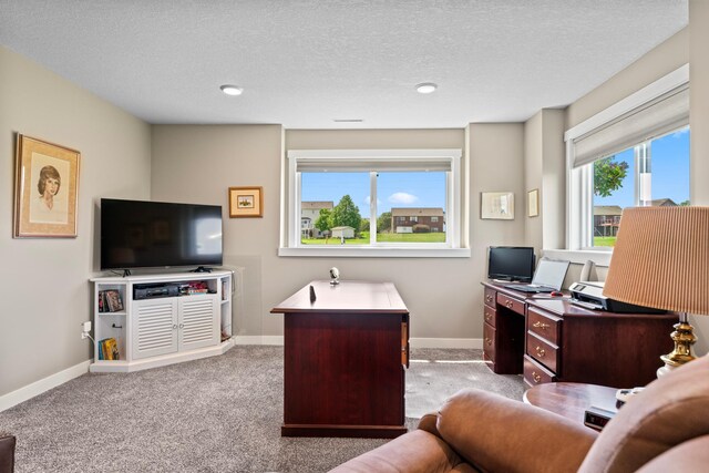 409 10th St NW, Dodge Center, MN 55927 - office featuring carpet floors, baseboards, a textured ceiling, and recessed lighting