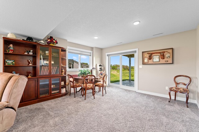 409 10th St NW, Dodge Center, MN 55927 - dining area featuring carpet floors, baseboards, a textured ceiling, and recessed lighting