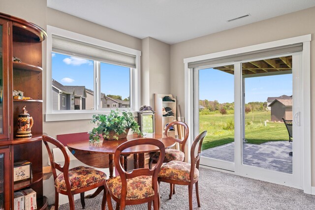 409 10th St NW, Dodge Center, MN 55927 - view of carpeted dining space