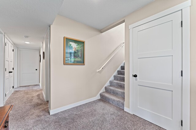 409 10th St NW, Dodge Center, MN 55927 - stairway featuring carpet floors, baseboards, and a textured ceiling