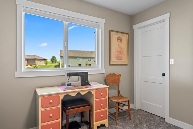 409 10th St NW, Dodge Center, MN 55927 - carpeted office featuring healthy amount of natural light and baseboards