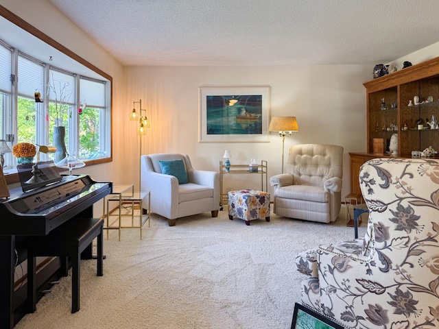 carpeted living area with a textured ceiling