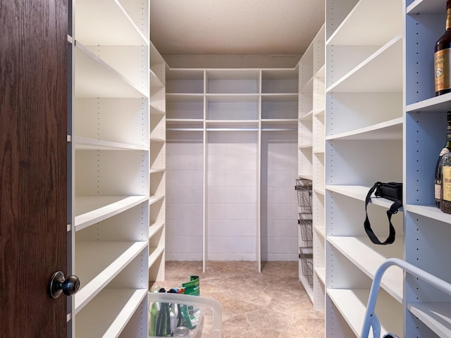 view of walk in closet