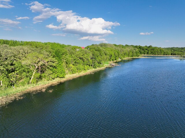 14976 County Road 107 SW, Kensington, MN 56343 - photo 66