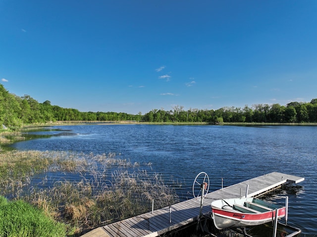 14976 County Road 107 SW, Kensington, MN 56343 - photo 78