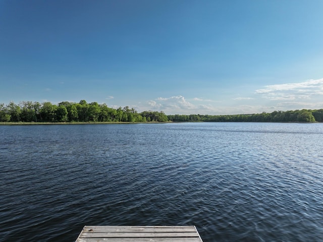14976 County Road 107 SW, Kensington, MN 56343 - photo 79