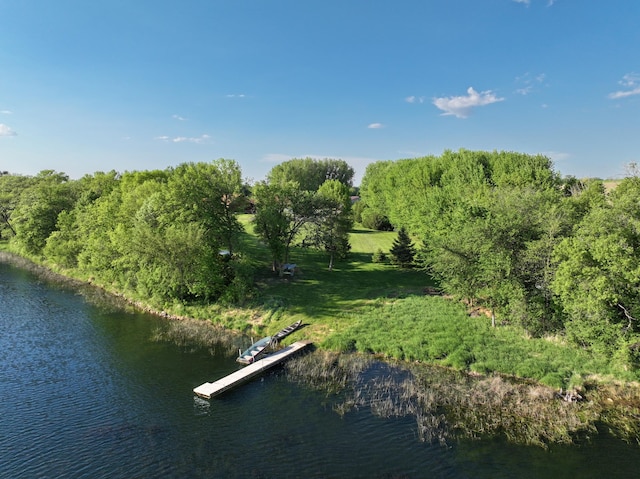 14976 County Road 107 SW, Kensington, MN 56343 - photo 84