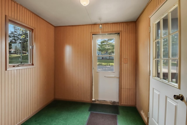 607 Wilson St, Downing, WI 54734 - doorway to outside featuring carpet flooring and wood walls
