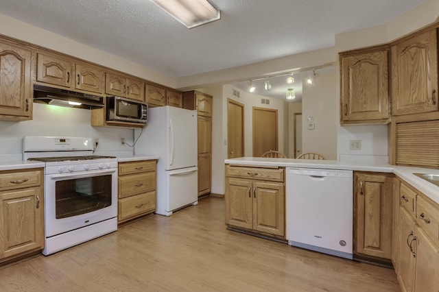 607 Wilson St, Downing, WI 54734 - kitchen with white appliances, under cabinet range hood, track lighting, light wood-style flooring, and light countertops