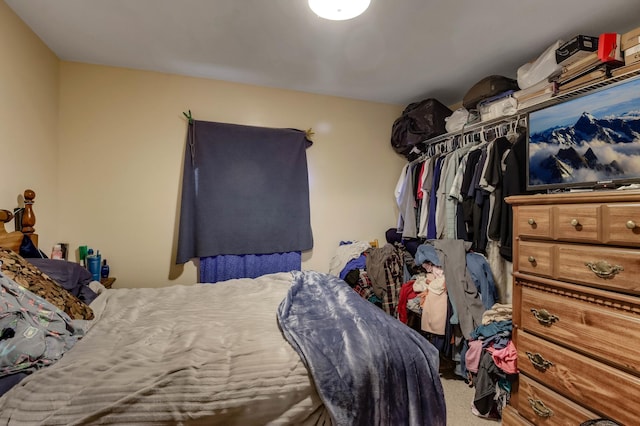 607 Wilson St, Downing, WI 54734 - view of carpeted bedroom