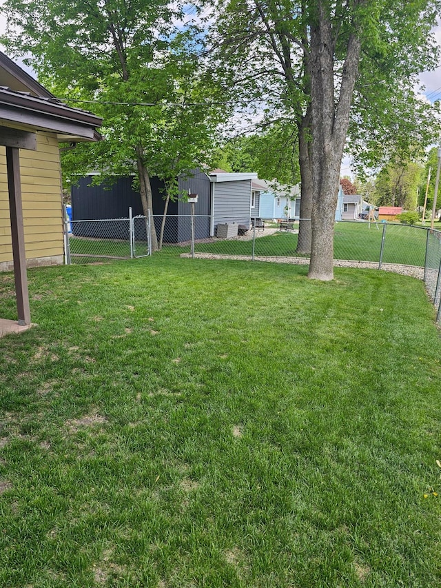 1005 8th Ave SW, Pipestone, MN 56164 - view of yard