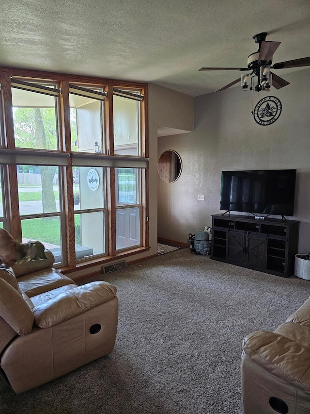 1005 8th Ave SW, Pipestone, MN 56164 - living room with plenty of natural light, carpet, a textured ceiling, and a ceiling fan